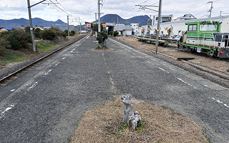 �\�]�� �����w