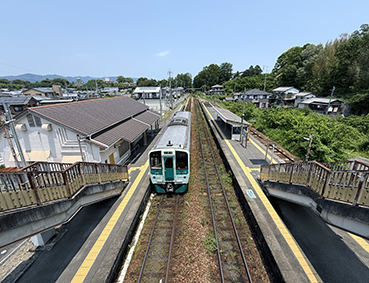 ������ ���g�쓇�w ���w��