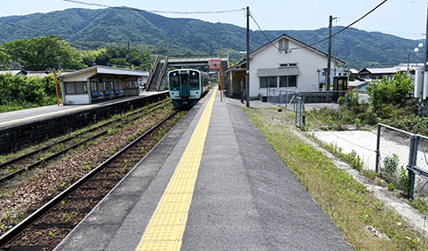 ������ ���g�쓇�w ���w��