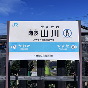 ������ ���g�R��w