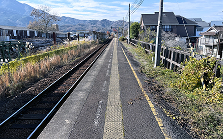 ������ ���g�R��w