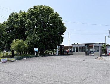 ������ �����w