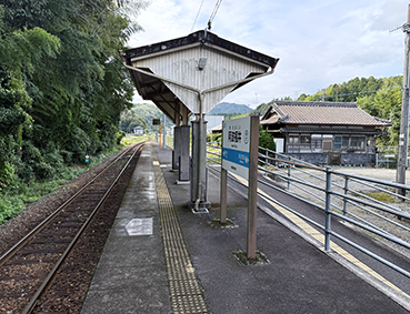 ����� ���g����w