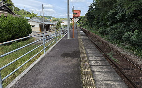 ����� ���g����w