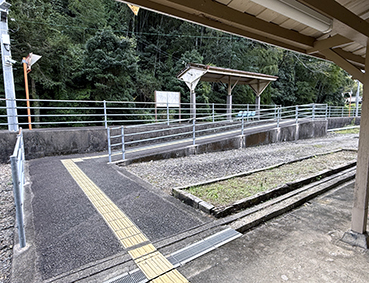 ����� ���g����w