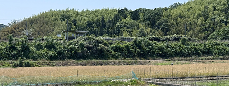 �y�]�� ����w