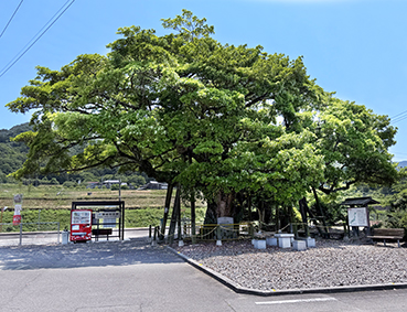 �y�]�� �]����c�w