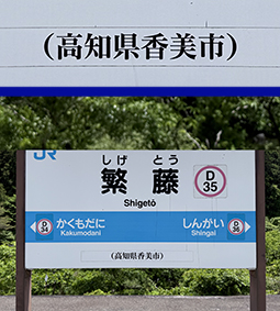 �y�]�� �ɓ��w