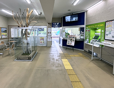 �y�]�� �{��w