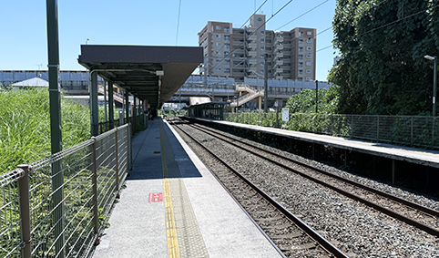 �������� �璹�w