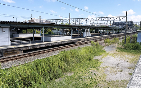 �������� �C�V�Éw