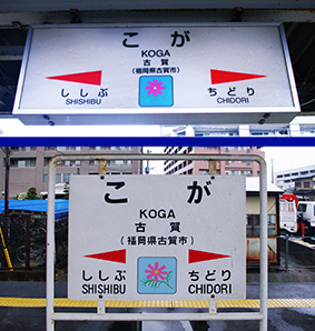 �������� �É�w