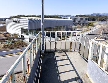 �������� �����w