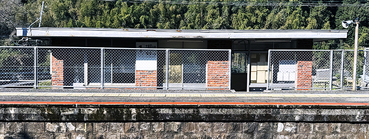 �������� �c����w