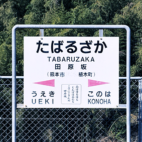 �������� �c����w