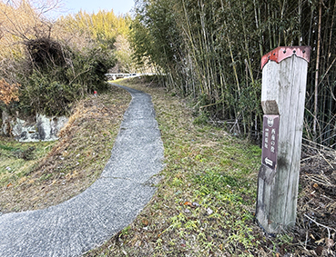 �������� �c����w