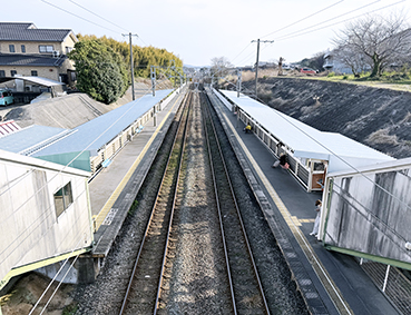 �������� �g��w