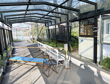 �������� �g��w