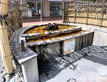 ���L�� �ʕ{�w