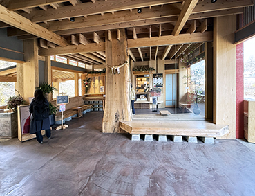 ���L�� �����_�{�w