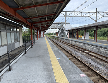 ���L�� �F���w