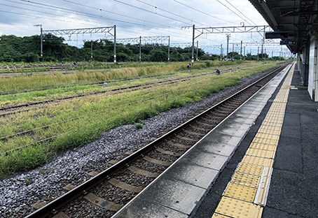 ���L�� ���P�Y�w