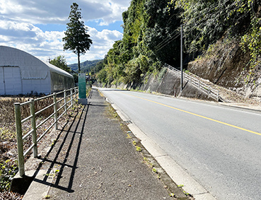 �Ђ��ڂ����C�� �����w