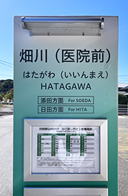 �Ђ��ڂ����C�� ����(��@�O)�w