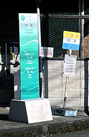 �Ђ��ڂ����C�� �j���w