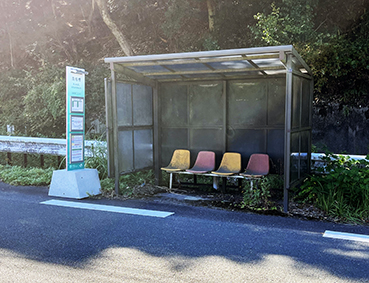 �Ђ��ڂ����C�� �M�D���w