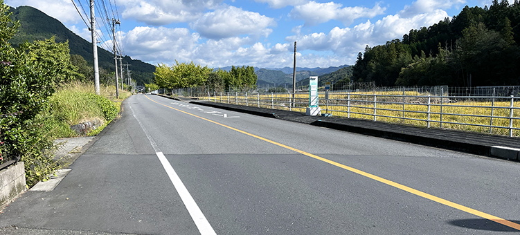 �Ђ��ڂ����C�� ���߉w