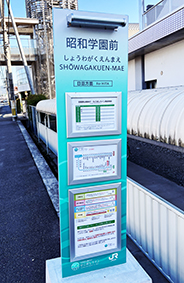 �Ђ��ڂ����C�� ���a�w���O�w