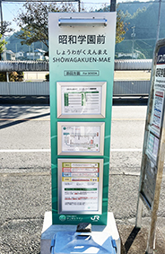 �Ђ��ڂ����C�� ���a�w���O�w