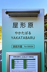 �Ђ��ڂ����C�� ���`���w