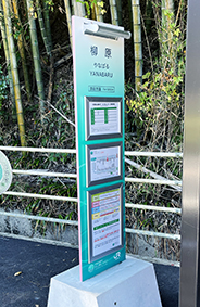 �Ђ��ڂ����C�� �����w