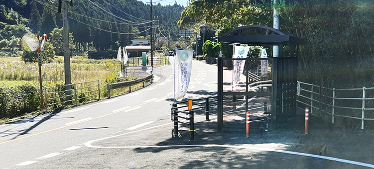 �Ђ��ڂ����C�� �����w