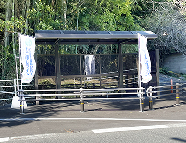 �Ђ��ڂ����C�� �����w