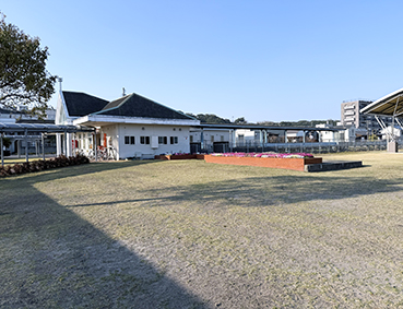 ����� �u�z�u�w