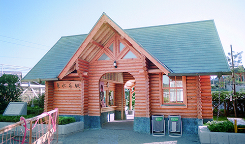 �������w