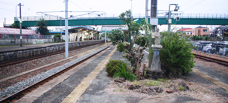 �}�L�� �ђˉw ���w��