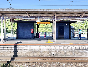 �}�L�� �ђˉw