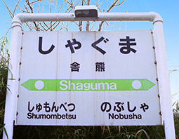 ���G���@�ɌF�w