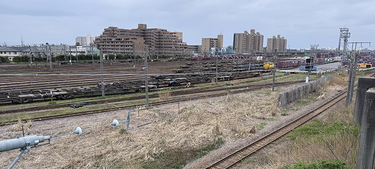 ���V�� �V���ݕ��^�[�~�i���w